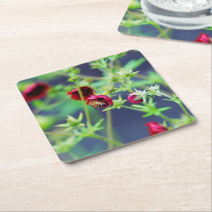 Dessous-de-verre Carré En Papier L'abeille à la fleur rouge