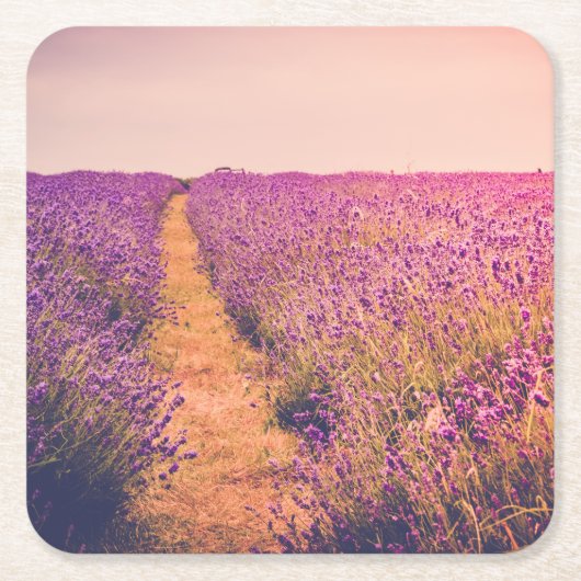 Dessous-de-verre Carré En Papier Lavander (Devant)