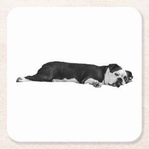Dessous-de-verre Carré En Papier Lazy Bulldog, Table nette