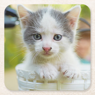 Dessous-de-verre Carré En Papier Le chaton monte un vélo