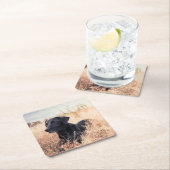 Dessous-de-verre Carré En Papier Le Labrador Noir En Graine Sèche (En situation)