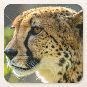 Dessous-de-verre Carré En Papier léopard