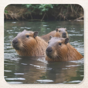 Dessous-de-verre Carré En Papier Les capybaras nagent dans la rivière,