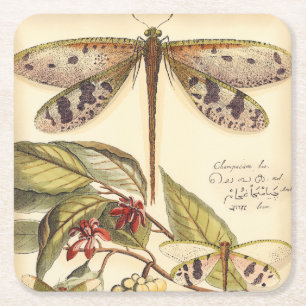 Dessous-de-verre Carré En Papier Libellules avec le feuille et le fruit