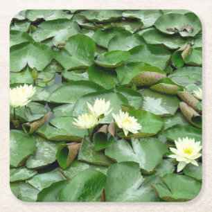 Dessous-de-verre Carré En Papier Lillies d'eau