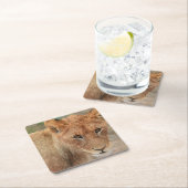 Dessous-de-verre Carré En Papier Lion CUB (En situation)