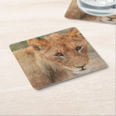 Dessous-de-verre Carré En Papier Lion CUB (Incliné)