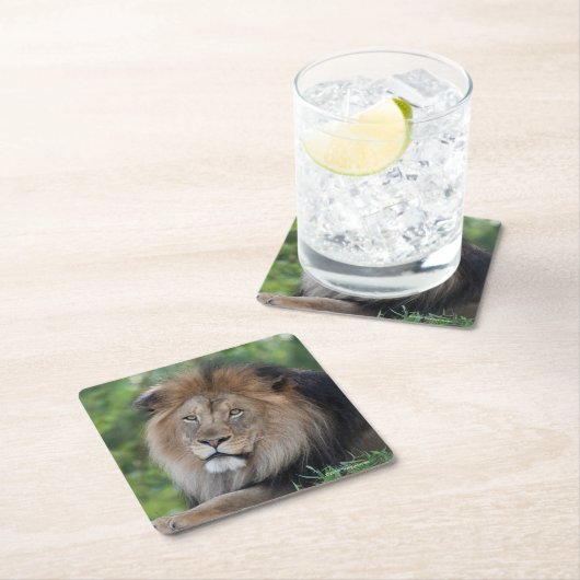 Dessous-de-verre Carré En Papier Lion Lounging dans une forêt (En situation)