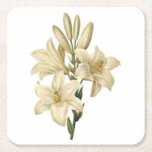 Dessous-de-verre Carré En Papier lis blanc (Lilium candidum) par Redouté