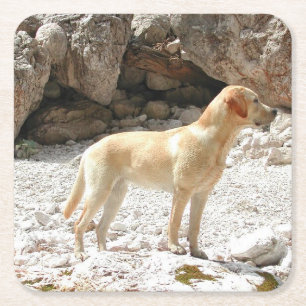 Dessous-de-verre Carré En Papier LR jaune plein