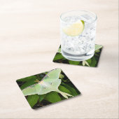 Dessous-de-verre Carré En Papier Luna Moth on Carnaby Clematis (En situation)