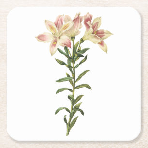 Dessous-de-verre Carré En Papier Lys péruviens (Alstromeria pelegrina) par Redouté