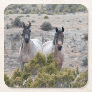 Dessous-de-verre Carré En Papier Mare sauvage de Mustang et Stallion sauvage de Che