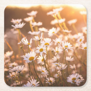 Dessous-de-verre Carré En Papier Marguerites des prés de coucher du soleil