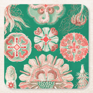 Dessous-de-verre Carré En Papier Méduses, Discomedusae par Ernst Haeckel