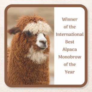 Dessous-de-verre Carré En Papier Meilleure Monobrow d'Alpaca