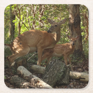 Dessous-de-verre Carré En Papier Mère et bébé cerf au Parc national de Shenandoah