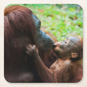 Dessous-de-verre Carré En Papier Mère orang-outan avec bébé