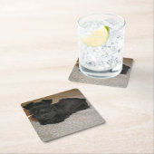 Dessous-de-verre Carré En Papier mini chiot de schnauzer (En situation)