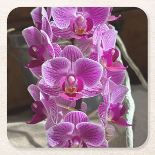 Dessous-de-verre Carré En Papier Mini Phalaenopsis Sogo Vivien Orchidée violet