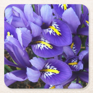 Dessous-de-verre Carré En Papier Miniature Bleu Irises Printemps Floral