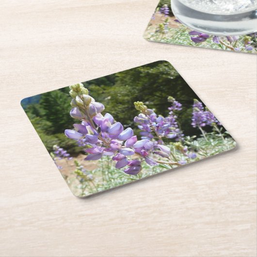 Dessous-de-verre Carré En Papier Mont Lupins (Incliné)