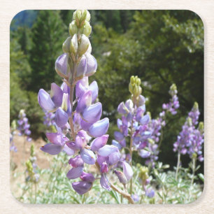 Dessous-de-verre Carré En Papier Mont Lupins