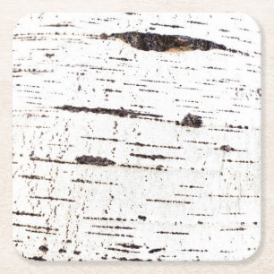 Dessous-de-verre Carré En Papier Motif d'écorce de bouleau