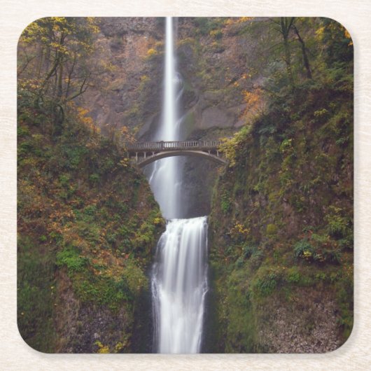 Dessous-de-verre Carré En Papier Multnomah tombe en défunt automne (Devant)