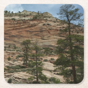 Dessous-de-verre Carré En Papier Murs de roche usés dans le parc national de Zion