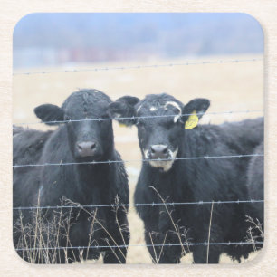 Dessous-de-verre Carré En Papier Observateurs de Bovine
