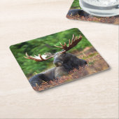 Dessous-de-verre Carré En Papier Oie (Incliné)