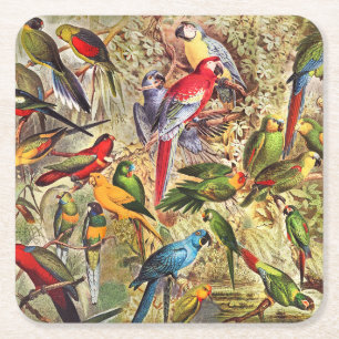 Dessous-de-verre Carré En Papier Oiseaux tropicaux Vintages colorés Parrots
