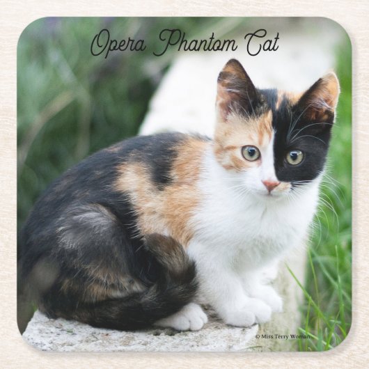 Dessous-de-verre Carré En Papier Opera Phantom Chat (Devant)