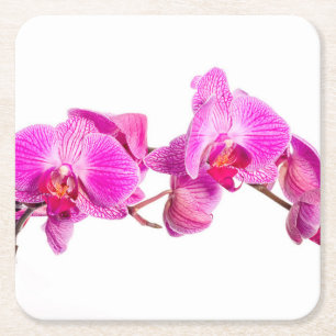 Dessous-de-verre Carré En Papier Orchidée