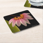 Dessous-de-verre Carré En Papier Orchidée rose tropicale (Incliné)