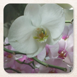 Dessous-de-verre Carré En Papier Orchidées blanches et violettes