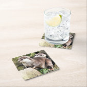 DESSOUS-DE-VERRE CARRÉ EN PAPIER OTTERS (En situation)