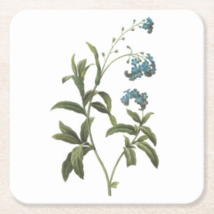 Dessous-de-verre Carré En Papier oubliez-moi-not(Myosotis scorpioides) par Redouté