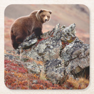 Dessous-de-verre Carré En Papier Ours Brown de Denali