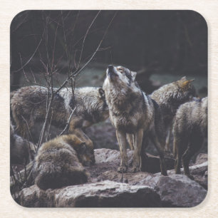 Dessous-de-verre Carré En Papier Pack Wolf