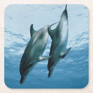 Dessous-de-verre Carré En Papier Paire de dauphins