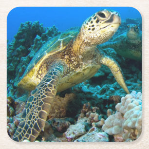 Dessous-de-verre Carré En Papier Paires de tortue