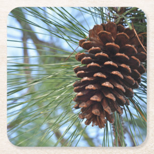 Dessous-de-verre Carré En Papier Papier réutilisable Pine Cone