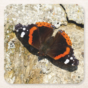 Dessous-de-verre Carré En Papier Papillon - Amiral rouge
