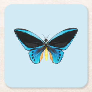 Dessous-de-verre Carré En Papier Papillon Birdwing