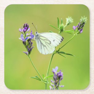Dessous-de-verre Carré En Papier Papillon Blanc à Veines Vertes