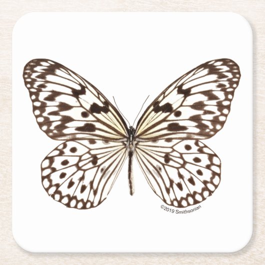 Dessous-de-verre Carré En Papier Papillon de tigre de châtaigne (Devant)