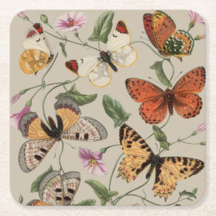 Dessous-de-verre Carré En Papier Papillon Moth Nature Collection Dessin