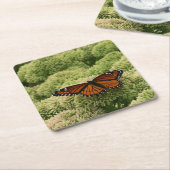 Dessous-de-verre Carré En Papier Papillon Viceroy Belle photographie de la nature (Incliné)